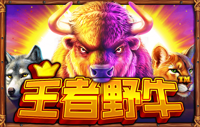 im体育官方版app下载